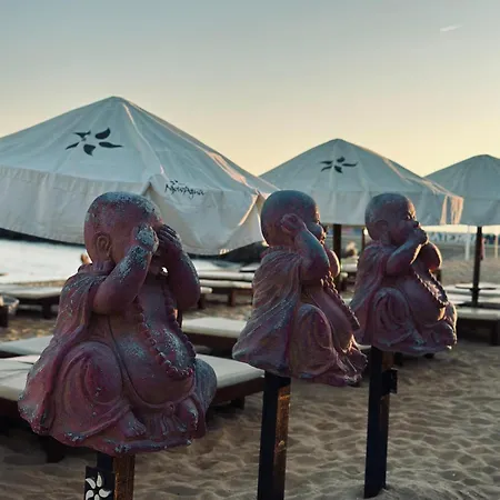 Oceanfront Dream 포티마오